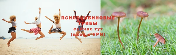 кристаллы Вяземский