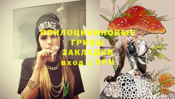 кристаллы Вяземский