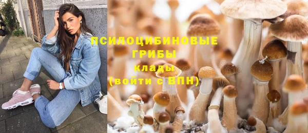 кристаллы Вяземский