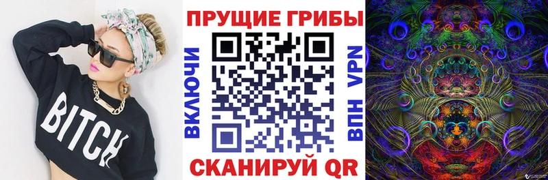 Галлюциногенные грибы мицелий Владикавказ
